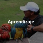 Cochahuasi