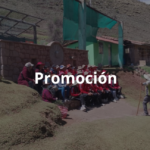 Cochahuasi