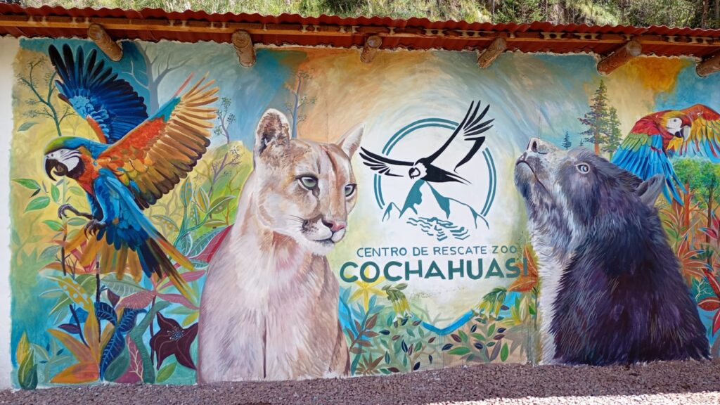 Cochahuasi